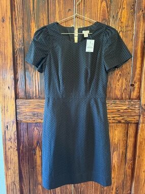 J. Crew Black Eyelet Short-Sleeve Mini Dress